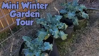 Mini Winter Garden Tour - January 2026