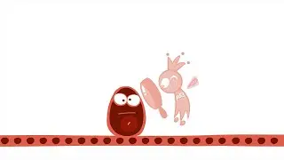 The P53 Gene