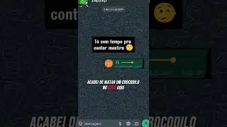 T&ocirc; sem tempo pra contar mentira 🤥  #audioengracado #engra&ccedil;ado #audio #WhatsApp #grupowhatsapp