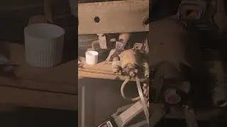 Fix or repair daily.