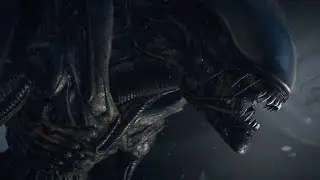 Xenomorph Backstory And Life Cycle Explained | How Aliens (Xenomorphs) Comes Into Existence? #alien