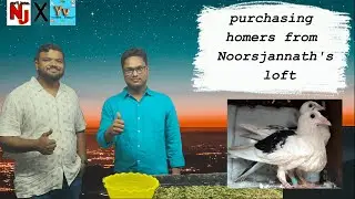 Purchasing new pair of homers from noorjanath's loft mini loft vlog and my face reveal.