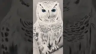 #картиныназаказ #painting #art #birds #owl #МариФаБор #сова часть2