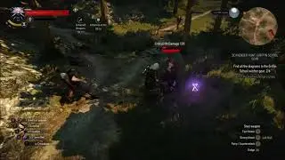 Witcher 3 Magic Trap