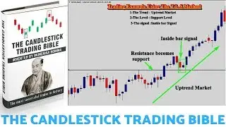 The Candlestick Trading Bible Review - Does It Work or Scam?