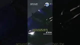GTA suspect STOPS FOR GAS mid pursuit 🔥🏆