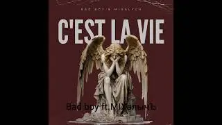 bad boy ft.MIXалычъ - C'est  lA vie