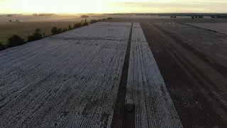Drone footage of a cotton harvest!