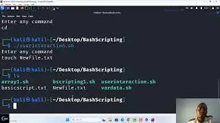 Bash Script Lesson 5: Users input, How to use read command in kali linux to create users interaction