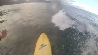 surfing small waves Seychelles