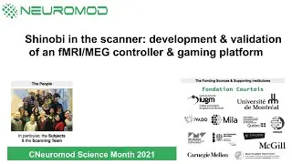Shinobi in the scanner: development and validation of an fMRI/MEG controller and gaming platform