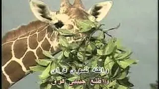 Arabic Karaoke 3ACHRA   ABDALLAH BILKHAIR