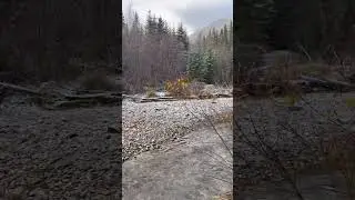 Moose hunt 2025! Camp and some views!