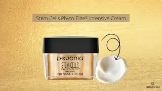 Stem Cells Phyto-Elite&reg; Intensive Cream by Pevonia&reg;