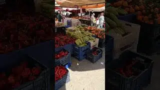 Alanya Bazaar 2023 T&Uuml;RKIYE