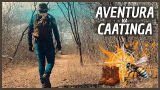 ANJO PERDIDO FRANCISCO, TRILHA, API&Aacute;RIO, CASA DO MEL #trilhasradicais #aventura #nature #caatinga