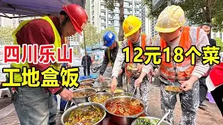 四川乐山，大姐工地卖盒饭，12元18个菜随便吃，小锅现炒巴适得板 #麦总去哪吃