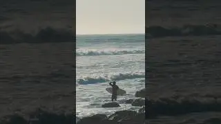 #surf #surfing #sunset #beach #ocean #waves #shortboard #california #autumn #ytshorts
