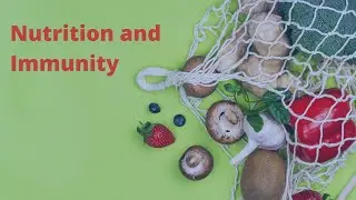Nutrition and Immunity