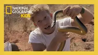 Hunting the Ghost Serpent 👻 | Out There with Jack Randall Full Episode | @natgeokids
