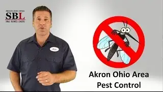 Pest Control Akron Ohio Area - Affordable Extermination Services