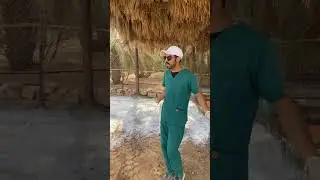 كيف تتعامل مع المواشي قبل بداية فصل الشتاء ؟