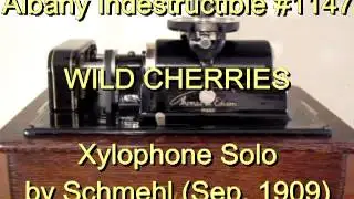 1147 - WILD CHERRIES, Xylophone Solo by Schmehl (Sep. 1909)