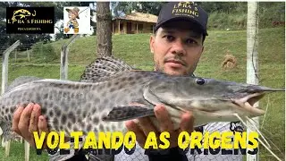 TESTANDO A MASSA DO NOSSO NOVO PARCEIRO - PESQUEIRO VIDA BOA - Guilherme Lara