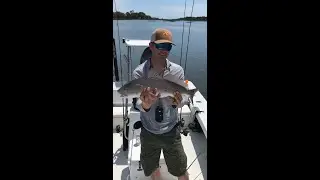 Catching Redfish in Charleston SC
