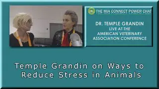 Dr  Temple Grandin on Ways to Reduce Stress in Animals 1 of 7