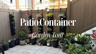 🌼 CONTAINER GARDENING: Mid-Summer Patio Container Garden Tour | Randy and Michael