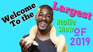 Reptile Expo (2019)