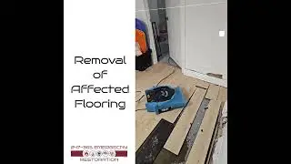 🚨 Flooded Basement After Burst Hot Water Tank | Emergency Water Damage Cleanup | 247-365 Restoration