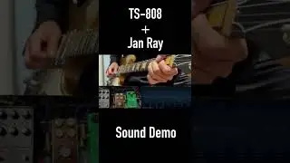 Jan Ray + TS-808 Sound Demo with Dream '65 #shorts