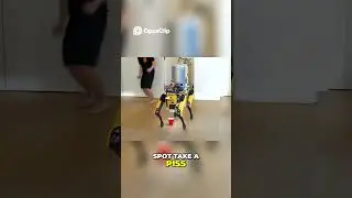 Jeff Bezos' Crazy $75K Robot Dog
