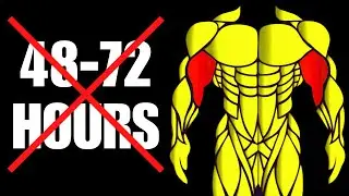 HOW LONG SHOULD YOU WAIT to TRAIN A MUSCLE AGAIN? - THESE NEW STUDIES ARE GREAT