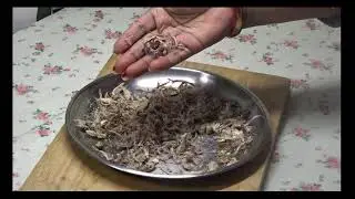 Homemade Garlic, Ginger & Onion Powder | Easy & Natural Spice Powders | Gayatri's Food & Lifestyle