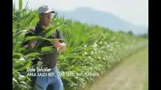 Mycorrhizal Applications Video Commercial