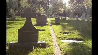 Matronia Cemetery Saratogo CA