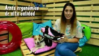 Arn&eacute;s para perros Julius K9 IDC - Tiendanimal
