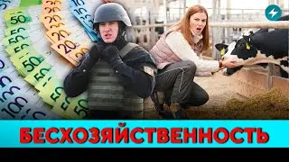 Фермы в ужасном состоянии! Заведены десятки уголовных дел. Кто ответит за падёж? // Новости