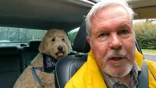 Jack the Real Estate Dog Driving Arlington Hills in Mint Hill
