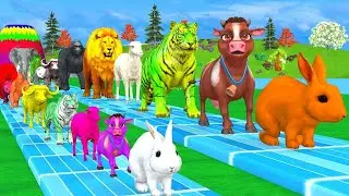 #7Giant Duck Cartoon, Paint & Animals Lion, Gorilla, Bear,Tiger ,Cow Wild Animals Crossing Fountain