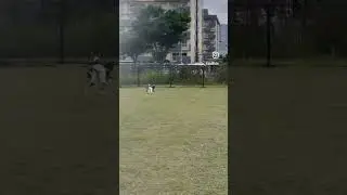 【逃げろ！】イタグレに追いかけられるカニーヘンダックス #カニーヘンダックスフンド