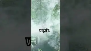 Как УМЕРЕТЬ в чрезвычайной ситуации. Выживание на природе 🇺🇸 ☠️☠️💀💀 #выживание