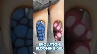 Wavegel Evolution Blooming Gel