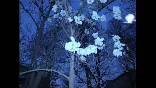 [Free For Non-Profit] weird underground ambient beat