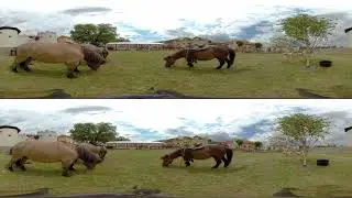 ELRO 2019 | 360˚ VIDEO