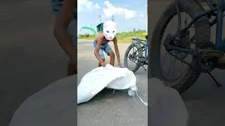 Cat 🐈 Rat ko￼ Bacha kar Le Gayi😳😂 #funny #comedy #youtubeshorts #shortsfeed #cat #rat