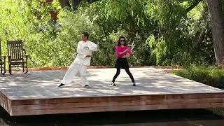 Neuro-Acupuncture Institute, TAI CHI 1 1